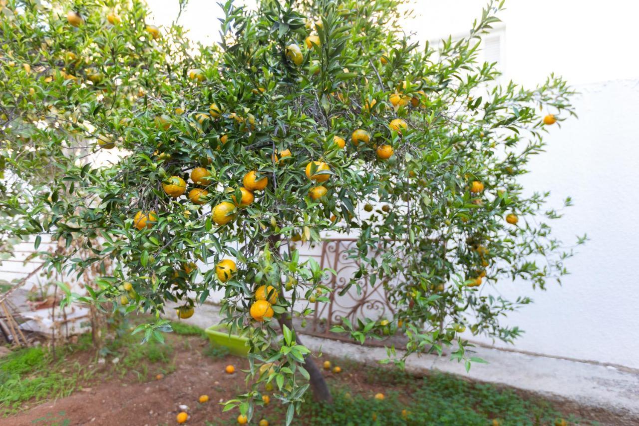 לרנקה Laila'S Cozy Garden House & Studio מראה חיצוני תמונה